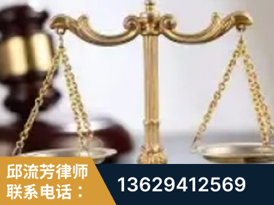 枣阳-委托诉讼代理人出庭